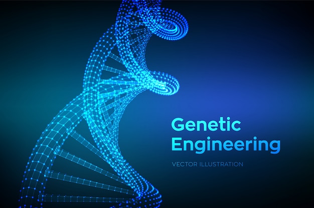 Chuỗi DNA. Lưới cấu trúc phân tử mã DNA Wireframe.