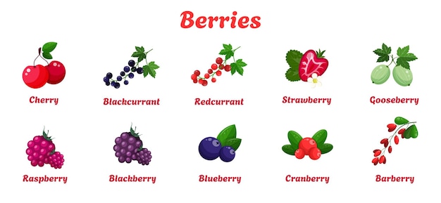 Collection of berries with font and inscriptionsSet of isolated icons