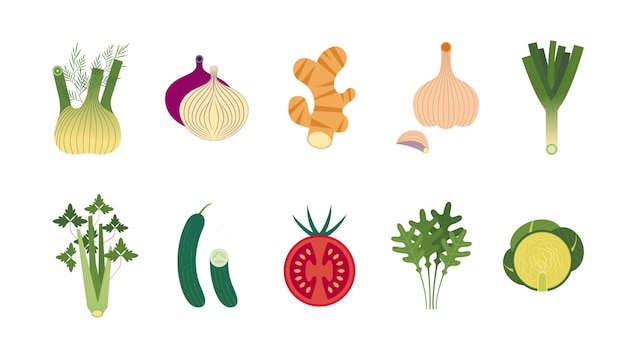 collection of Natural Organic Vegetables Healthy Vector Green Foods and spices