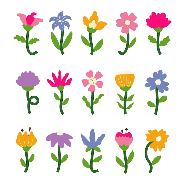 colorful plant and flower vector