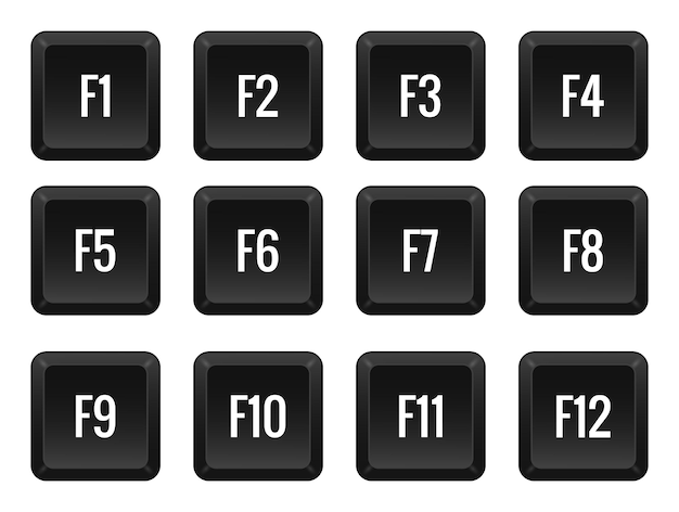Computer functional keys F1 F2 F3 and so on Hotkeys combination control macro shortcut command input enter type layout computer laptop Vector illustration