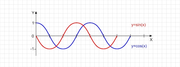 Cosine and sine wave lines on bidimensional plane Mathematics function graph Checkered worksheet