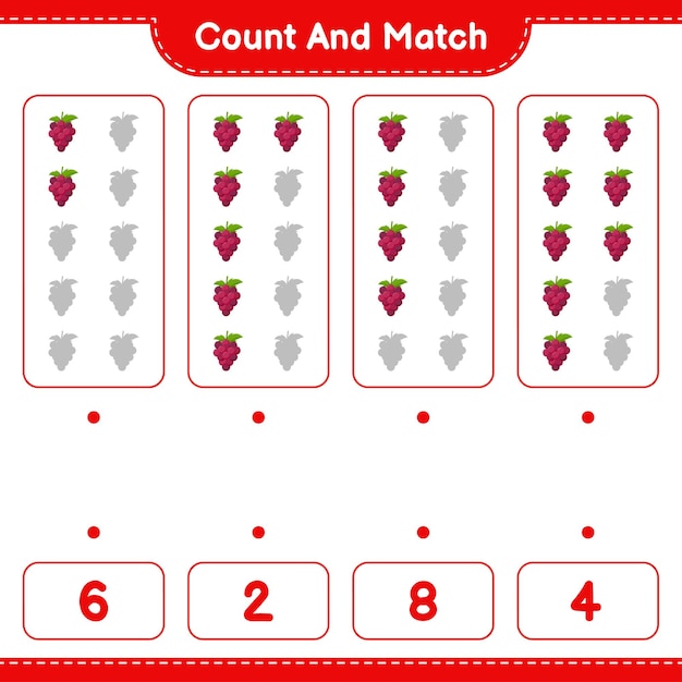 Count and match, count the number of Grape and match with right numbers. Educational children game, printable worksheet 