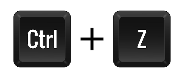 CTRL Z Key combination Keyboard control computer shortcut laptop functional input device peripheral enter the text typing type hotkeys layout language qwerty undo Vector illustration