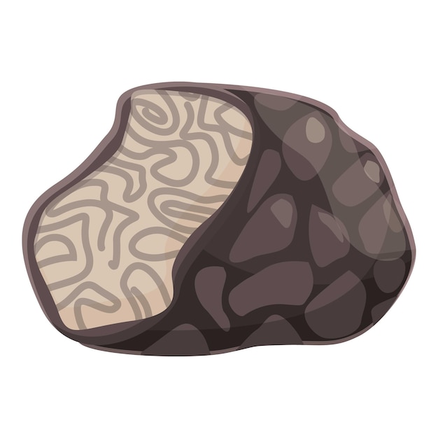 Cuisine truffle icon cartoon vector Cooking truffle Fungus mushroom