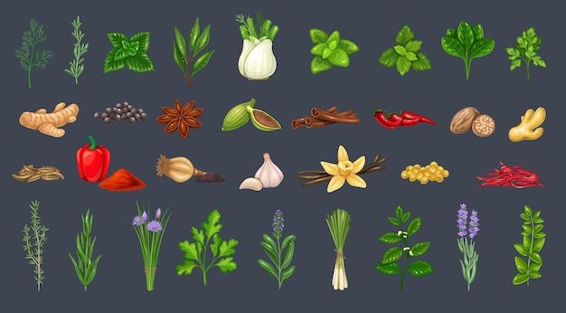 Culinary herbs and spices