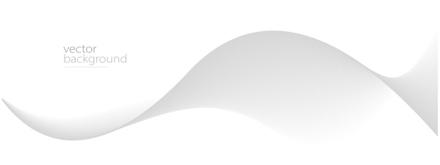 Curve shape flow vector abstract background in light grey gradient dynamic and speed concept futuristic technology or motion art