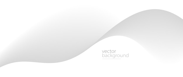 Curve shape flow vector abstract background in light grey gradient dynamic and speed