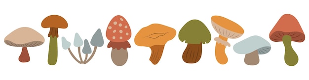 Cute set of mushrooms autumn thanksgiving autumn season drawn cosy design elements on isolated