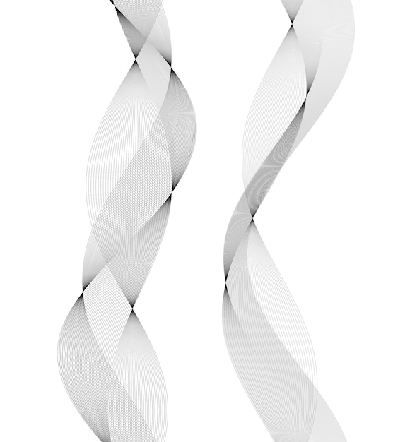 design elements wave of many gray lines abstract wavy stripes on white background isolated creative line art vector illustration eps 10 colourful shiny waves with lines created using blend tool