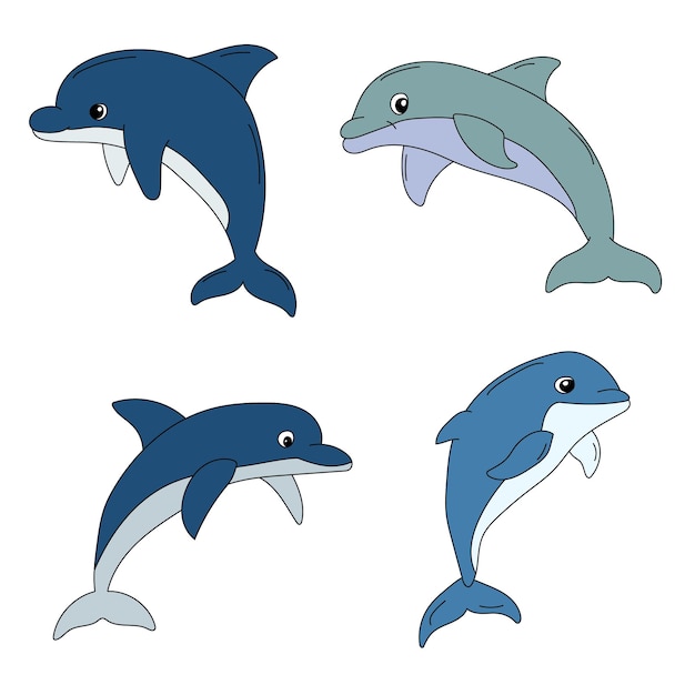 Dolphin Clipart Aquatic Animals and Sea Animals Clipart