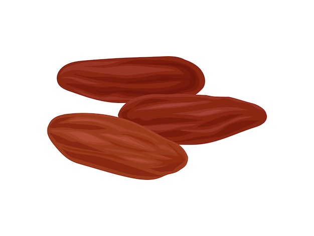 Dried dates on a white background realistic vector illustration