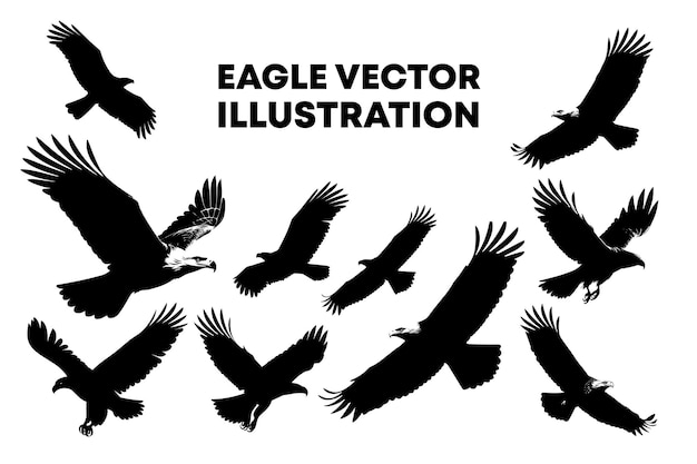 eagle bird flying silhouette illustration