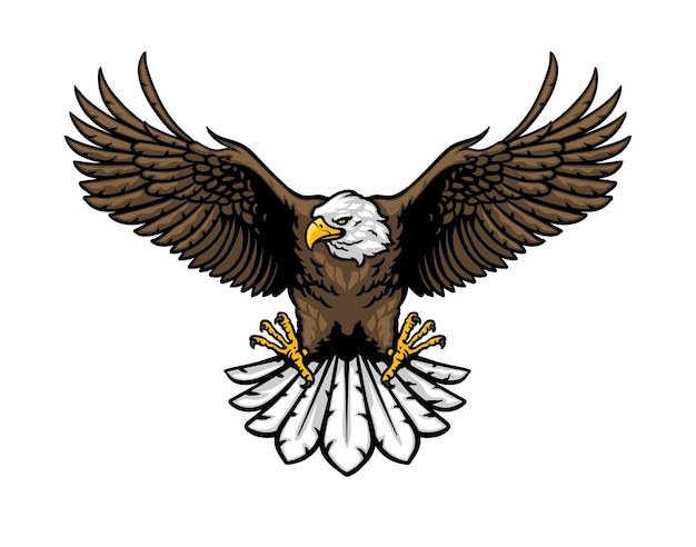 eagle illustration