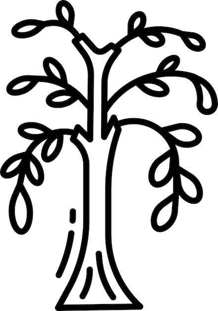 eastern cottonwood outline vector illustration