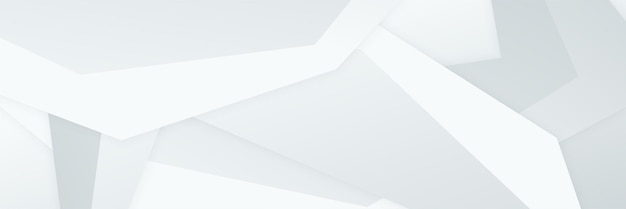 elegant abstract white banner background with shiny lines