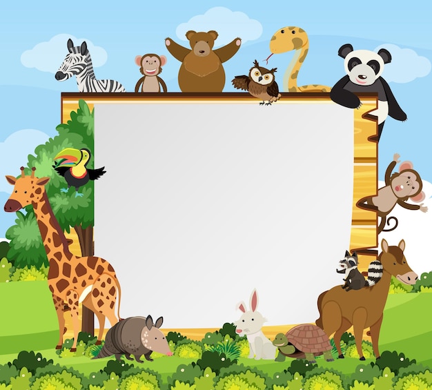 empty wooden frame with various wild animals in the forest