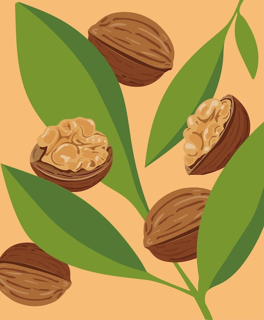 Exquisite Walnut and Lush Green Leaves Natures Elegant Bounty