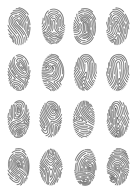 Fingerprint identification collection Scan fingerprint security or identification system concepts Biometric data design Security system based on thumb lines vector illustration