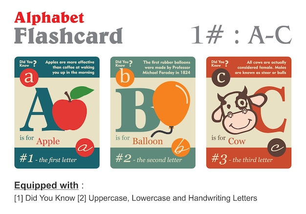 Flashcard alphabet A B C in 3 different color with information vector