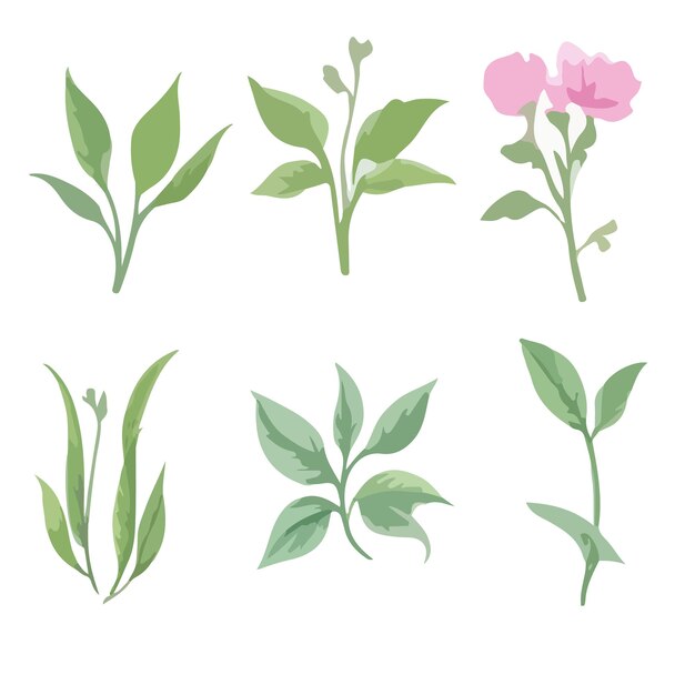 Floral vector elements Design Flower Ai Generate