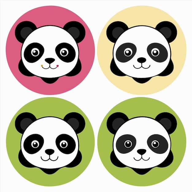 four pandas are shown with different colored circles