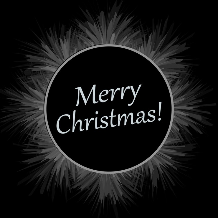 Vector frame of white snowflakes on a black background.
