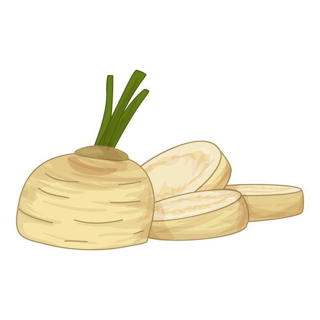 Fresh celery root with green stem and slices