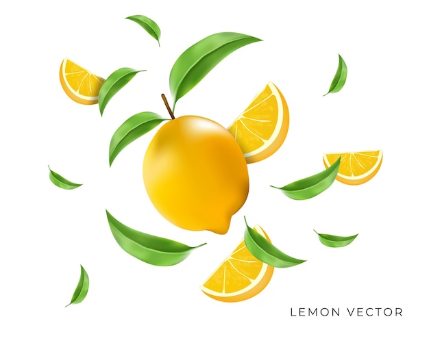 Fresh lemon with slices and leaves flying composition
