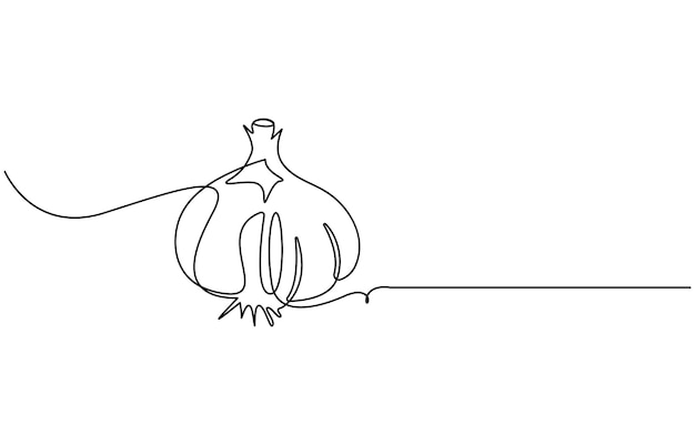 Garlic vector illustration background One line drawing art illustration Garlic
