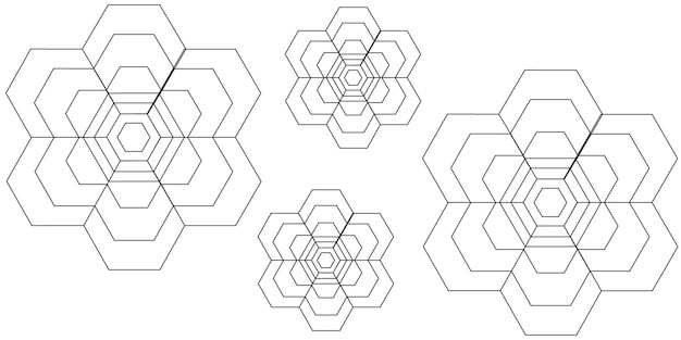 Geometric Hexagonal Floral Arrangement