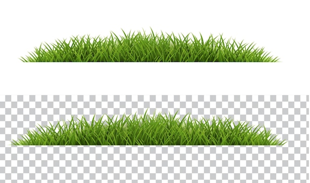 grass border isolated white and transparent background