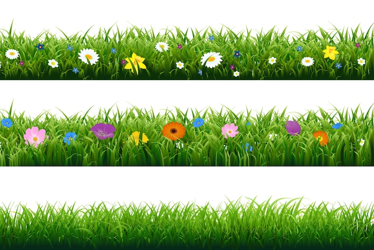 Vector grass border with flower with gradient mesh,  illustration