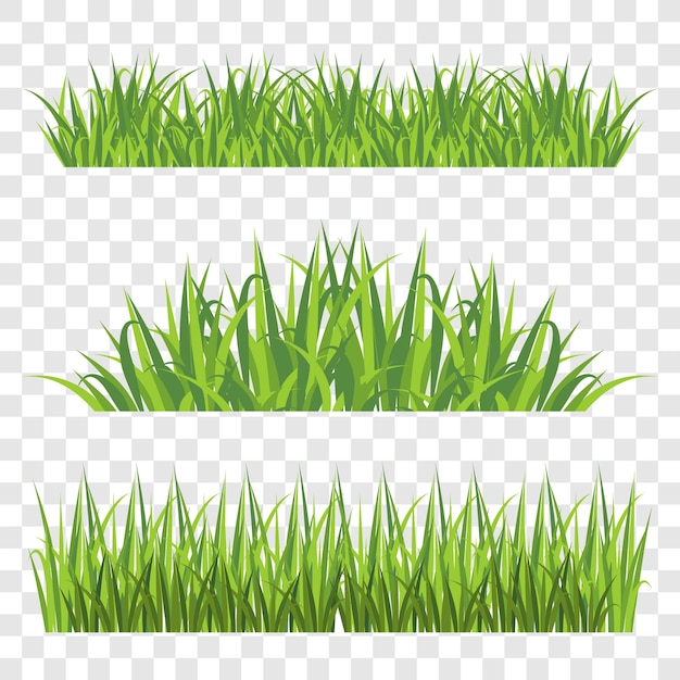 Grass Element on Transparent Background