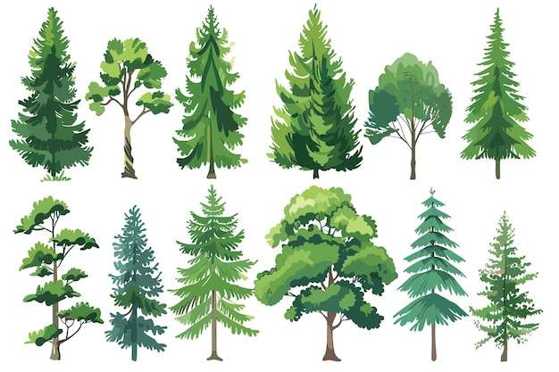 Green trees over white background set graphic clipart design