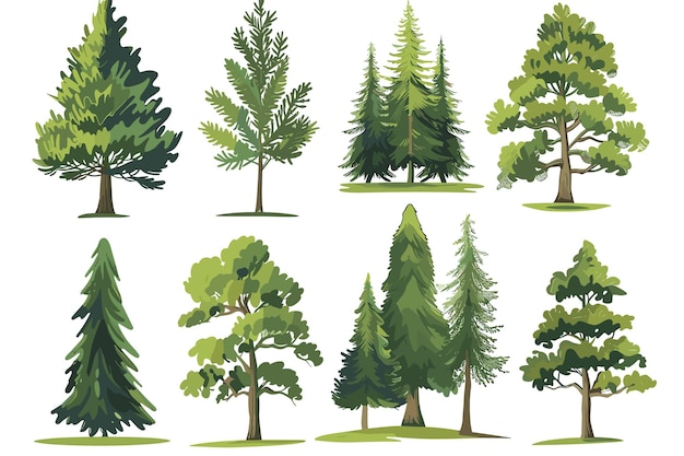 Green trees over white background set graphic clipart design