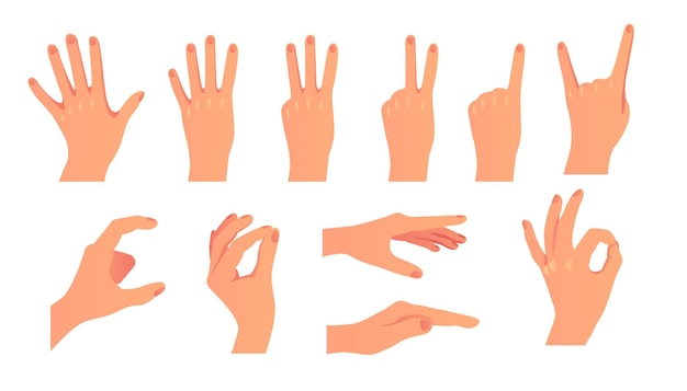 Hand arm finger hold ok pose sign isolated set flat graphic design illustration