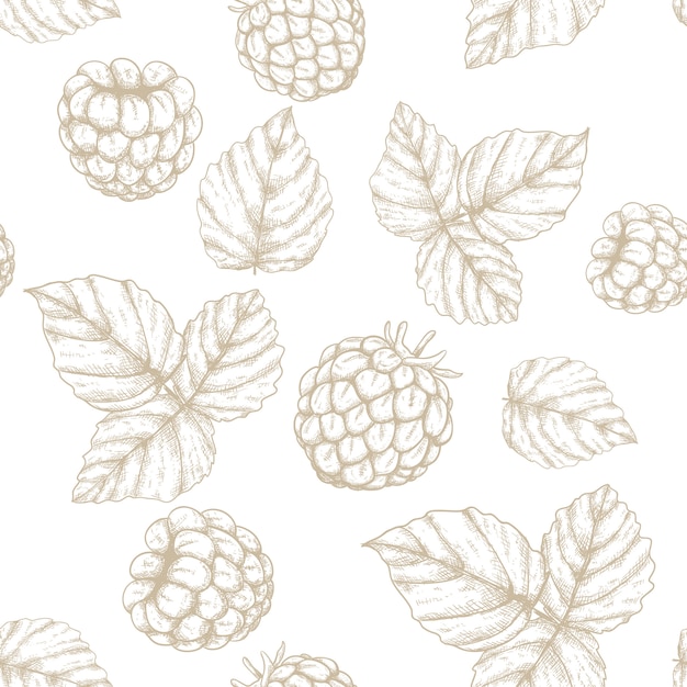 hand drawn raspberry seamless pattern