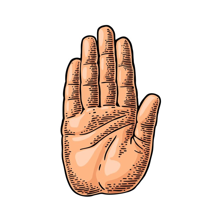 Vector hand showing stop gesture front view vector color vintage engraving