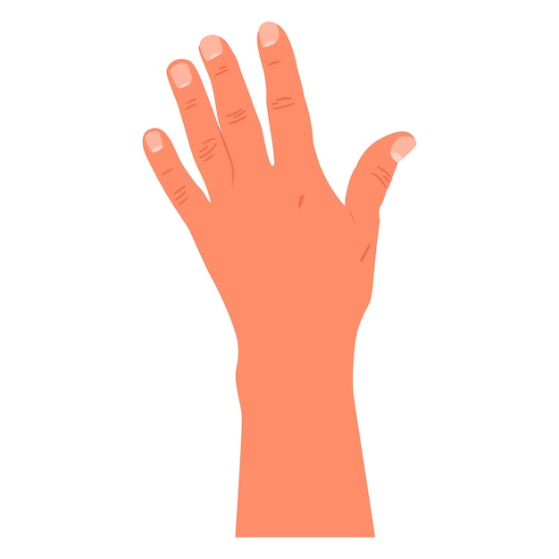 hand vector cartoon illustration isolated on a white background