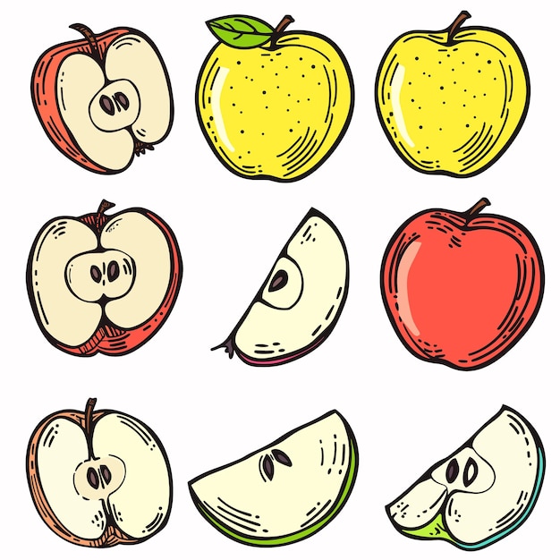 Handdrawn apples illustration colorful fruit slices sketch whole cut apples artistic