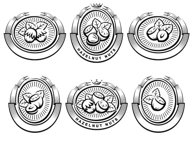Hazelnut nuts label and icon set Collection icons hazelnut nuts Vector