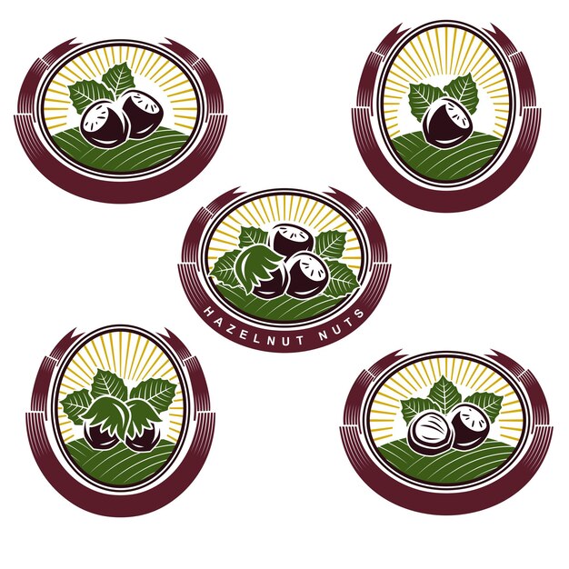 Hazelnut nuts label and icon set Collection icons hazelnut nuts Vector