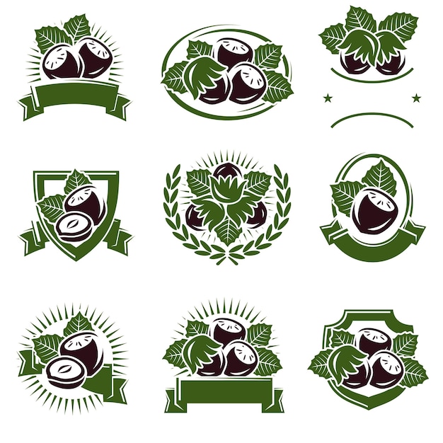 Hazelnut nuts label and icons set Collection icon hazelnut nuts Vector