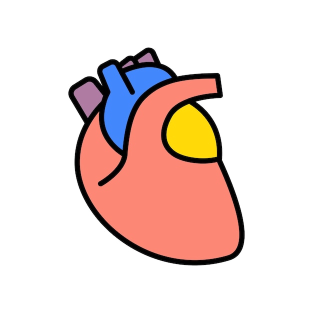 Heart set icon Cardiovascular system human organ anatomy medical illustration blood circulation cardiac health heartbeat cardiology healthcare