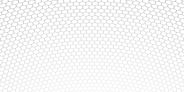 Honeycomb hexagon background pattern. Vector isolated texture. Comb seamless texture design. Vector hexagonal cell texture. EPS 10