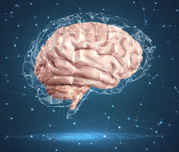 human brain and abstract design elements mesh vector