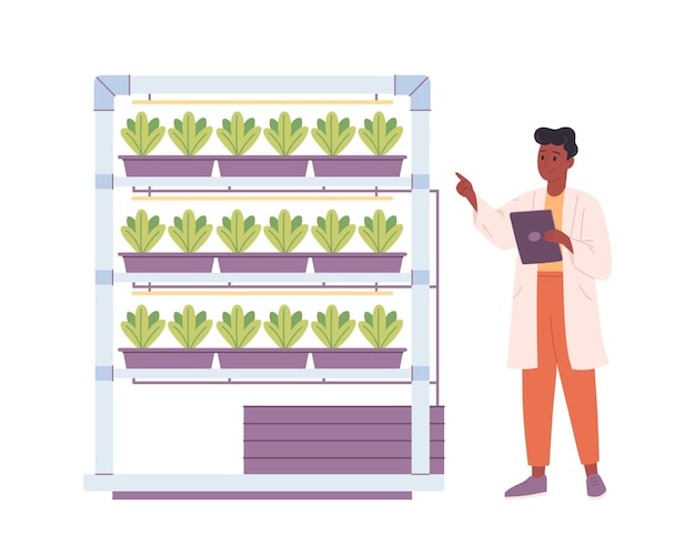Hydroponics technology for plants growing Vertical farming Scientist or biologist grows plants