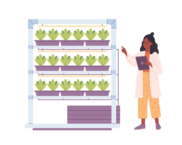 Hydroponics technology for plants growing Vertical farming Scientist or biologist grows plants