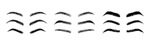 isolated eyebrows set cartoon eyebrow makeup template classic brow makeup shaping vector set